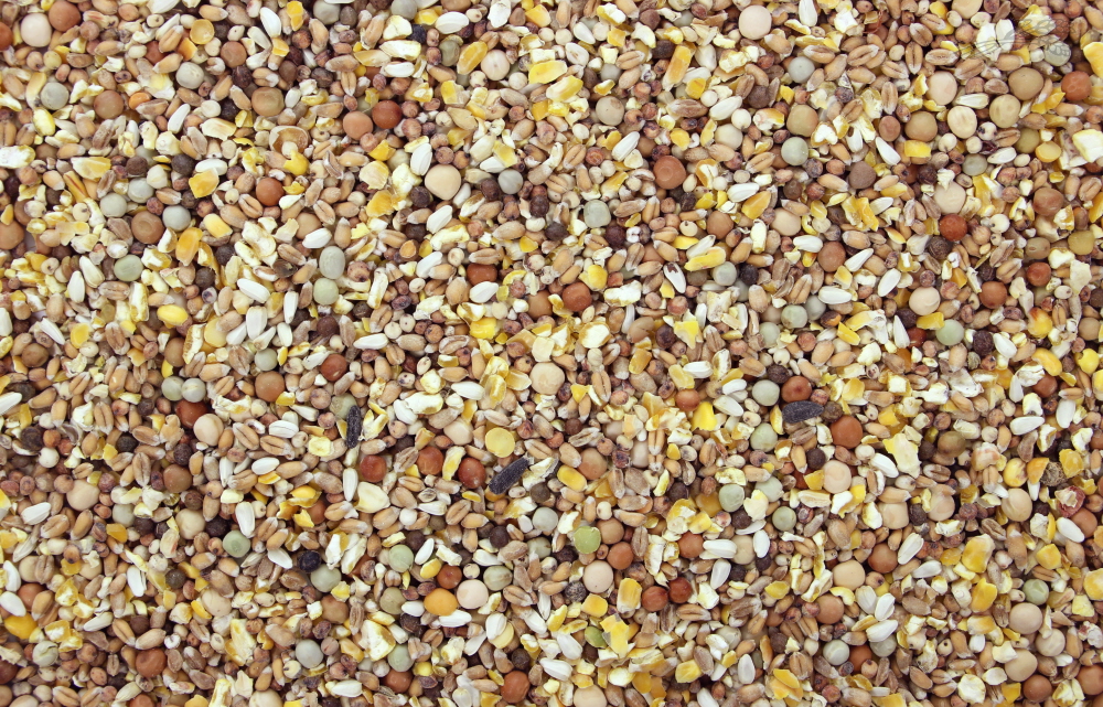 Tijssen Kortbek Gebroken Mais